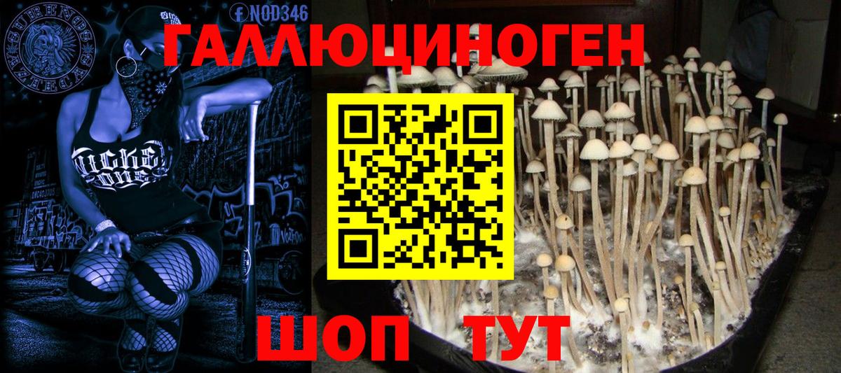 Псилоцибиновые грибы MAGIC MUSHROOMS  Псилоцибиновые грибы прущие грибы  Вход с VPN  Полысаево 