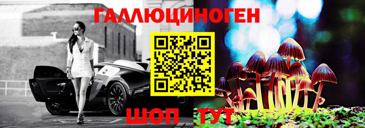 Псилоцибиновые грибы Psilocybe Полысаево